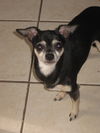 Rosita
