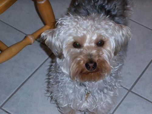 Rudy