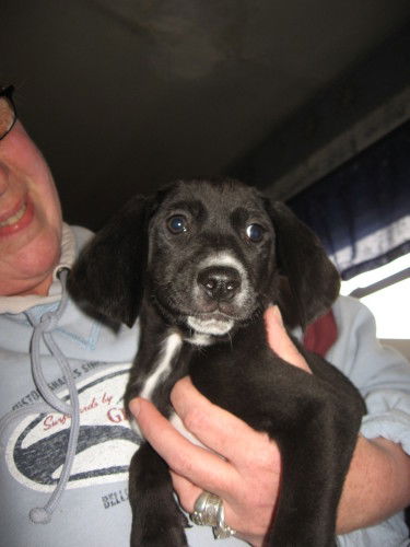 Riley:8-10wks.