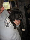 Riley:8-10wks.