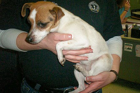 Roxy