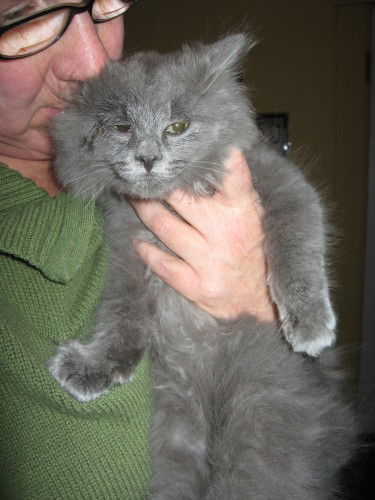 Soot
