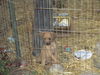 Tiny Tally-