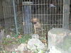 Tiny Tally-