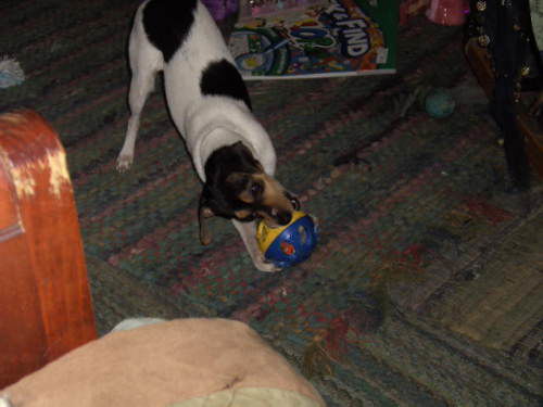 Tillie/Pebbles
