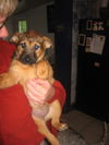 Little Rosie