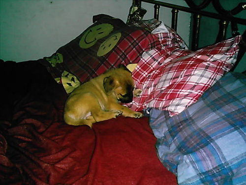 Huggy/Mimi