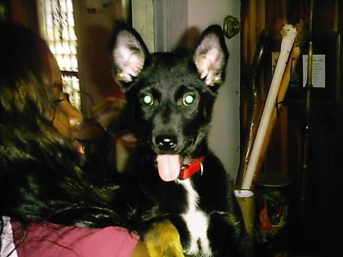 Miley/ Zoey
