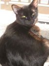 Sita