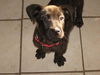 Riley Roo