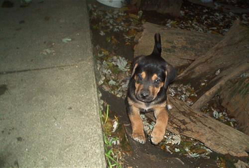 Hudson-