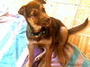 Tilly