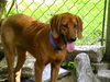 Roxy