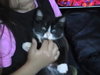 Munchkin