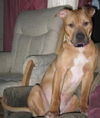 Rosco Lee