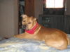 Rosco Lee
