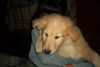 Miner-