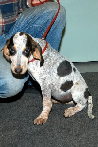 Skye Ann:Friendly