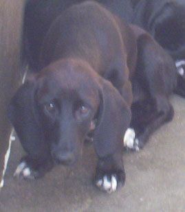 Ruthie