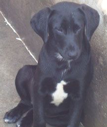 Luckie