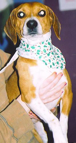 Millie