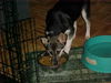 Missy:H4TH