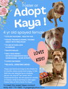 Kaya - Photo 4