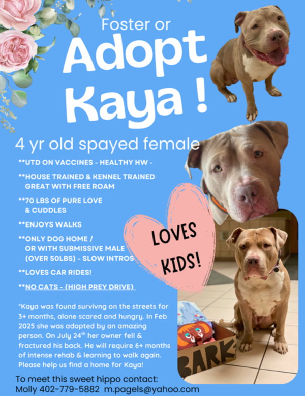 Kaya