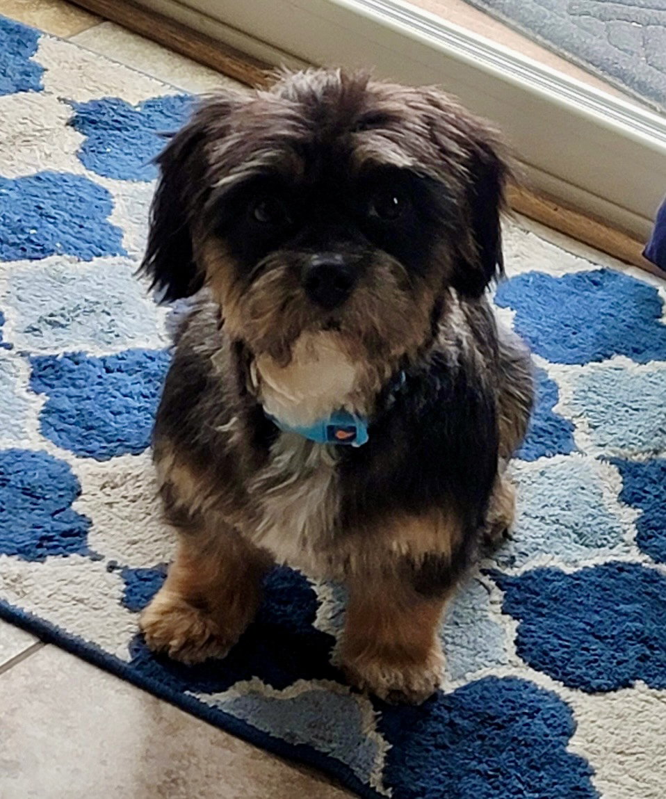 Sherman