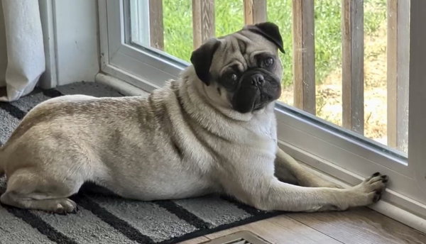 Frank