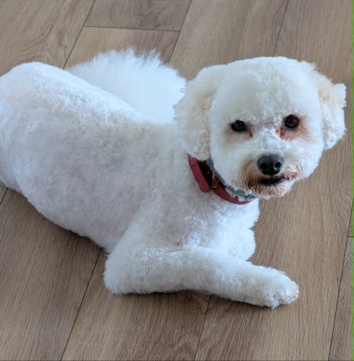 Charlie