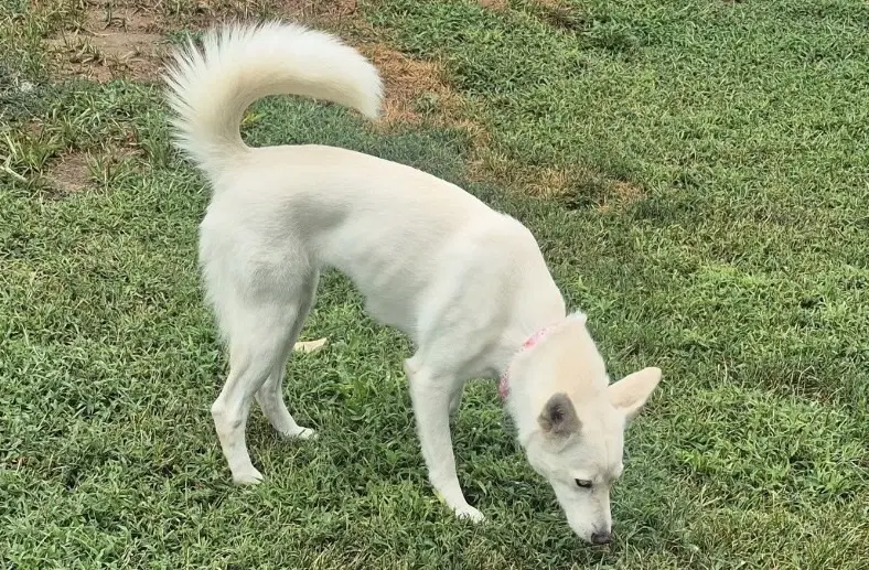 Charlotte image 3