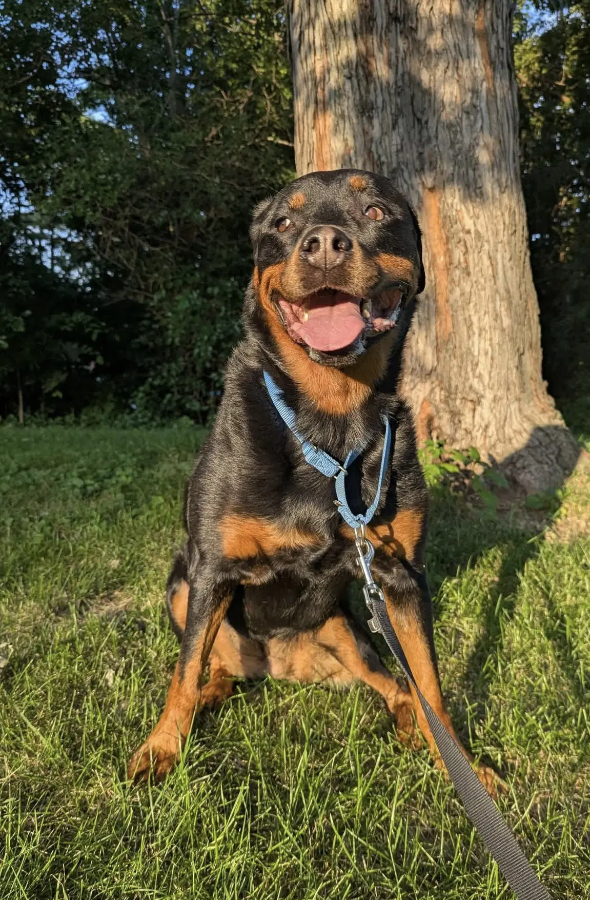 Ruby Roo image 3