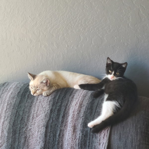 Phoebe (& Joey)
