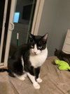 Rocky - Photo 4