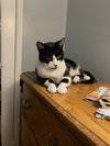 Rocky - Photo 5