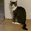 Annie - Photo 1