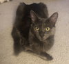 Birdie (& Angie) - Photo 1