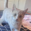 Skibidi (& Bubbles) - Photo 2