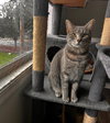 Bubbles (& Skibidi) - Photo 1
