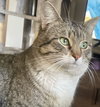 Caspian - Photo 1