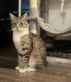 Caspian - Photo 7
