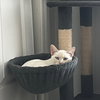 Miesha (& Lucky) - Photo 5