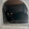 Lucky (& Miesha) - Photo 5