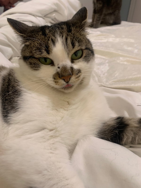 Zena
