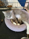 Meredith - Photo 3