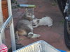 Meredith - Photo 4