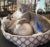 Meredith - Photo 6