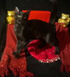 Twinkle Twinkle (& Little Star) - Photo 1
