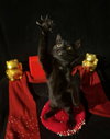 Twinkle Twinkle (& Little Star) - Photo 2